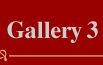 link to gallery 3