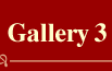 link to gallery 3