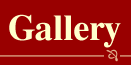 link to the gallery